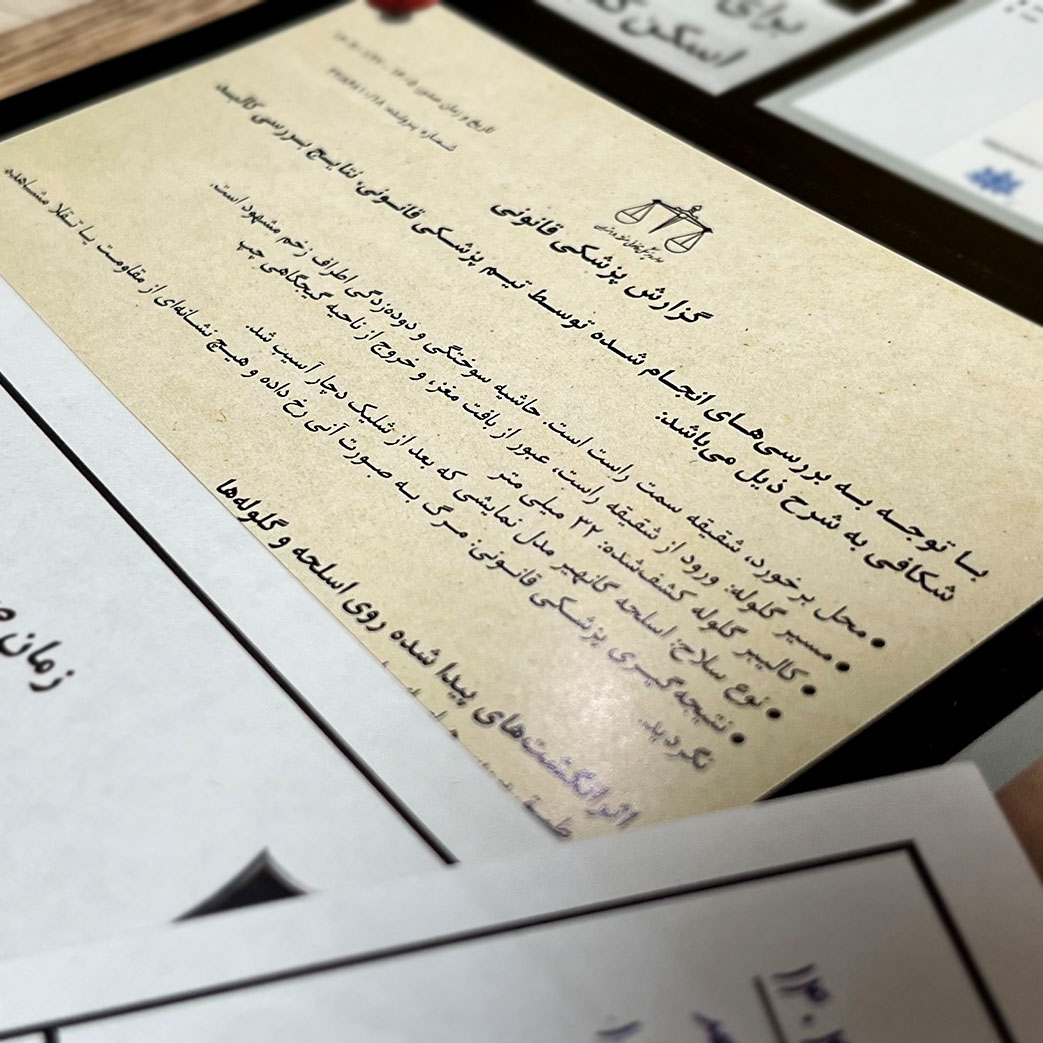 پرونده جنایی رولت روسی - 6